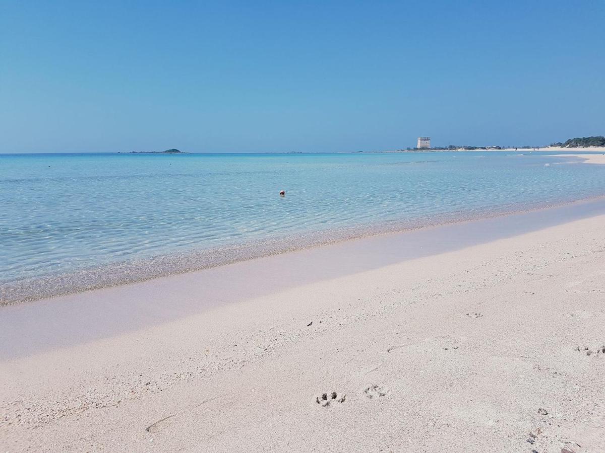 Hotel Posidonia Porto Cesareo Dış mekan fotoğraf